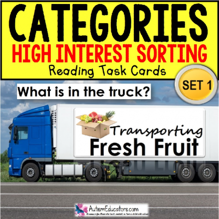 SORTING by Category HIGH INTEREST TASK CARDS “Task Box Filler” for Autism